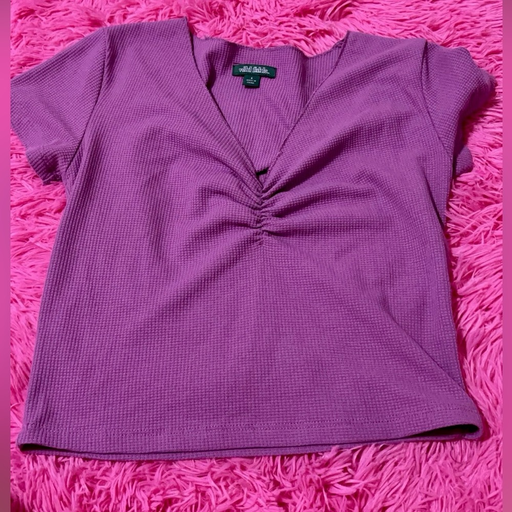 Old fable crop top